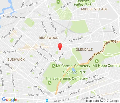 logo-image - flushing-ny